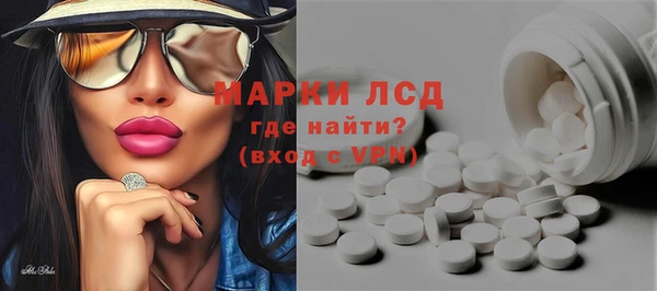 твердый Дмитровск