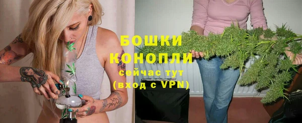 твердый Дмитровск